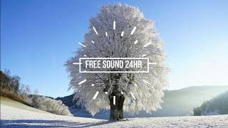 Download lagu Ericovich - 'Don't Worry (ft. L.Kaison) ' 💗💗💗 mp3 Download lagu Ericovich - 'Don't Worry (ft. L.Kaison) ' 💗💗💗 mp3