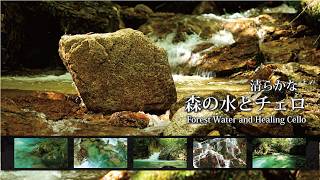 Download lagu 清らかな森の水と穏やかなチェロ　信州安曇野（自然映像とBGM/心身浄化・癒し）healing cello mp3