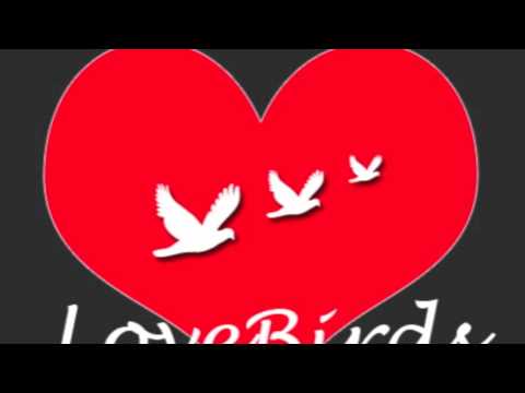 LoveBirds - Jeg Elsker Dig For Altid