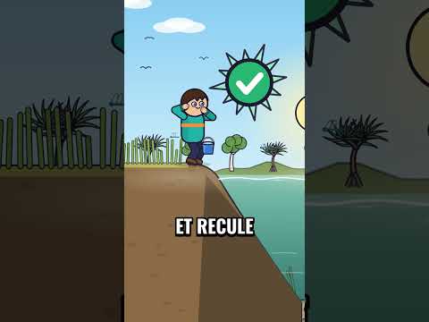 Comment survivre à une attaque de crocodile 🐊
