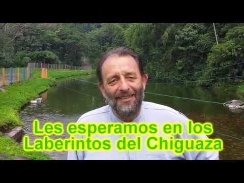 Video 17