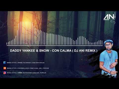 DJ ANI FT. DADDY YANKEE , SNOW - CON CALMA   #JAANWAAR