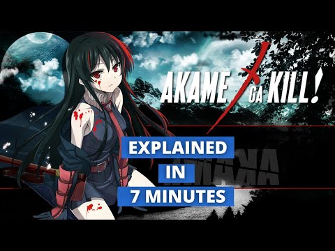 image-How does Akame ga Kill end?