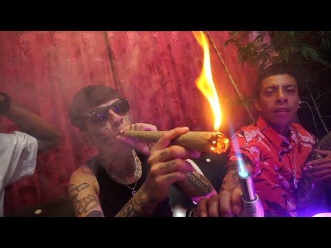Walter Vargas - Fumando Como Jefe #FREEBAGRE (Video Oficial)