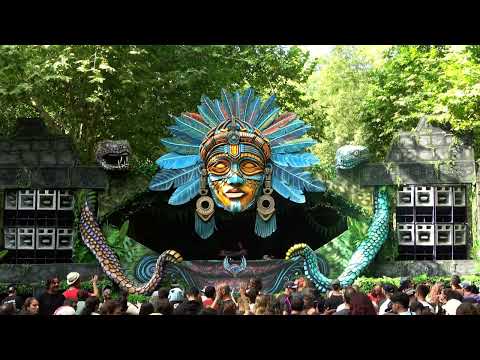 Z-CAT - Insomnia 2024