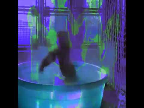 Chūsha "5ex 1malam" (Prod. vuksai) (Visual HildanLogic)