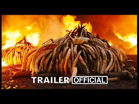 Anthropocene: The Human Epoch (2019) Trailer