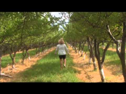 Archery World Cup Competition- Fan Reporter Audition