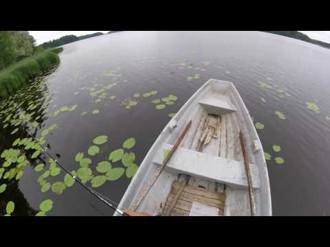 Pottu kalastaa vol 15- haukea sieltä täältä /pike fishing
