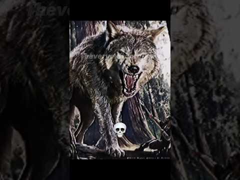 When the Dire Wolf puppies grow up… #direwolf #prehistoric #iceage #wolf #extinct #animals