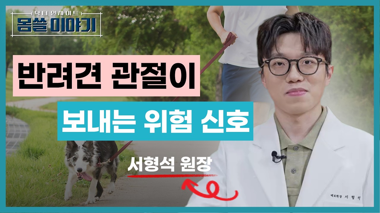 슬개골 탈구, 반력견 관절이 보내는 위험 신호입니다 [몸쓸이야기 13회]