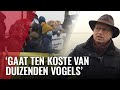 IJburgers zijn massaal tegen plannen voor windmolens