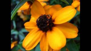 RADIORAMA - ABCD (High BPM Mix)