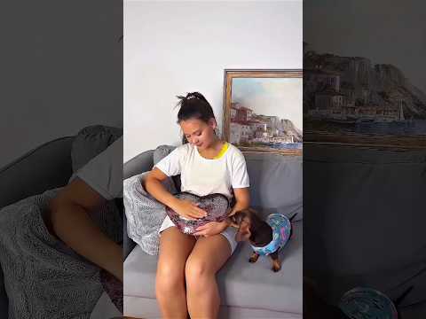 Спасли всех… но его оставили одного! 🏠😢 #shorts