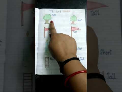 #Tall And Short #Opposite Words #shorts #ytshorts