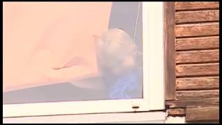 Уважаемые родители следите за своими детьми, ведь они это наше будущее