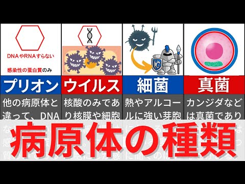 図 1: ブンゼン バーナーの滅菌ゾーン。