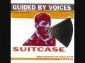 Eric Pretty (Guided By Voices)- A Good Circuitry Soldier (Original Version)