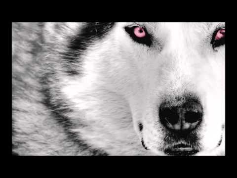 DJ Teco vol.02 - GIRO95 - Faixa 02