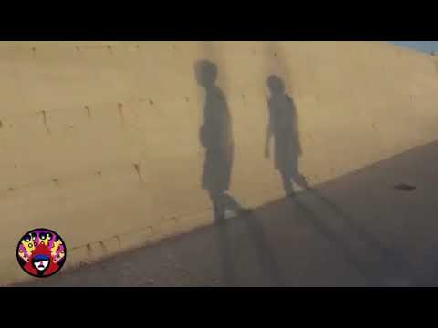 FRIUILLI = Pop X + Calcutta - Fryjazz