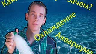 Рассада земляники (клубники) - АГРОФИРМА ПОИСК Рассада земляники (клубники) - АГРОФИРМА ПОИСК