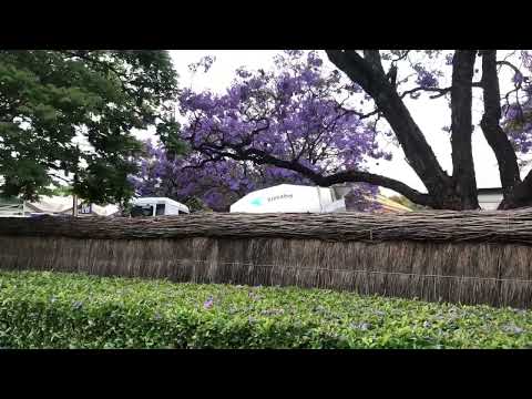 23 Eton St 0626am 15DEC2022