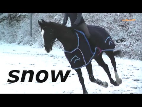 Reiten im Schnee - Riding in the snow - Schwarzes Pferd - Black horse much fun