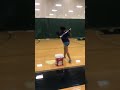 Fungo hitting