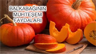 BALKABAĞININ İNANILMAZ FAYDALARI