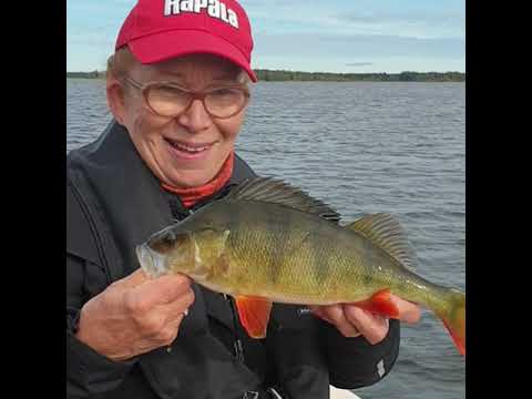 Ahvenia Raippaluodosta