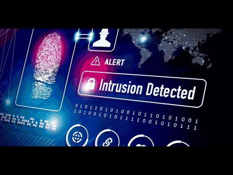 Network Traffic Analysis: Unveiling the Pulse of Digital