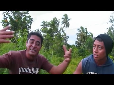 Le Nifoloa (Official Music Video) Samoan Lover