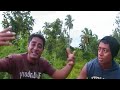 Le Nifoloa Official Music Video Samoan Lover