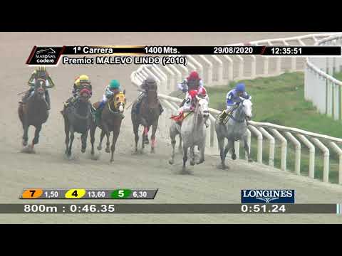 29/08/2020 – Hipodromo Maroñas – Carr 1 – MALEVO LINDO (2010)