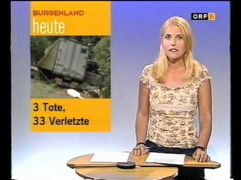 Busunfall auf der A2 (Südautobahn) am 20.05.2002