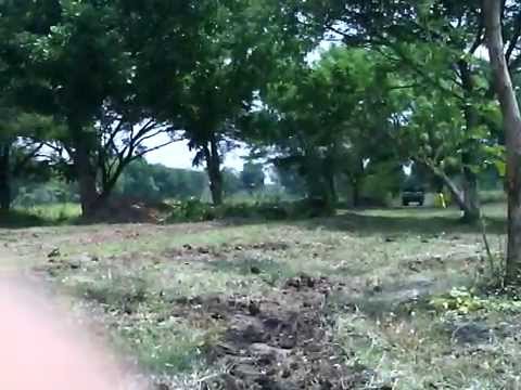 Jumping Tank Scorpion