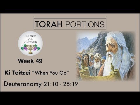 Torah Portions - Week 49 - Ki Teitzei | כִּי־תֵצֵא l “When You Go” - W/ Parable of the Vineyard