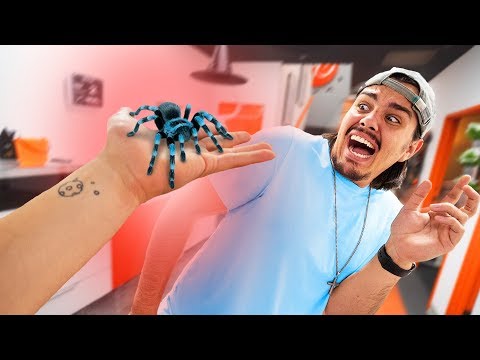 Pranking My Coworkers With Their Biggest Fears! Video