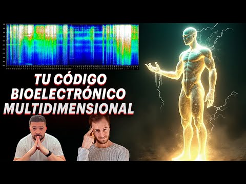 Clase Privada: Cómo Funciona Tu Conexión Multidimensional en esta Realidad