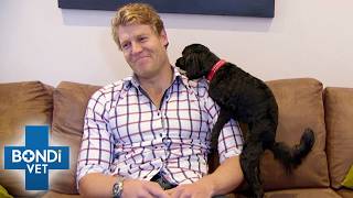 The Most Hilarious Pet Cases Ever! | Bondi Vet