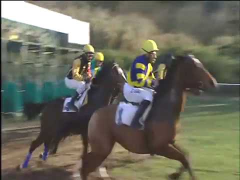 Galoppo 20/12/2017 - 1ª corsa