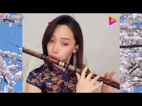 楚小仙笛子演奏：《甘心情愿》沁人心扉 好看视频