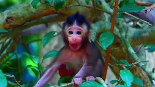 My Video 19