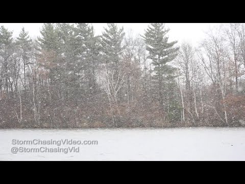 Rice Lake, WI Heavy Snow & Wind Damage 11/19/2015