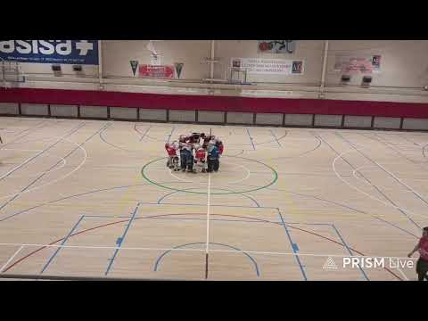 Ok Bronce-Jornada 16- CD Alameda de Osuna- Adiss Hockey Rivas