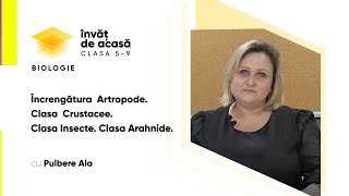 Încrengătura Artropode: Clasa Crustacee. Clasa Insecte. Clasa Arahnide