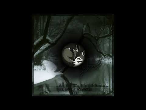 Liquid Snow (feat. Anja Enerud)