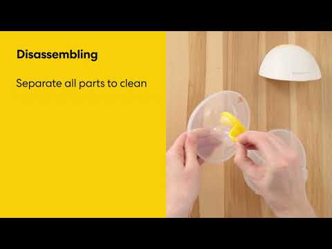 How to Disassemble the Motion In-Bra Breast Pump