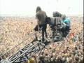 Pearl Jam- Breath and a Scream (Breath) 