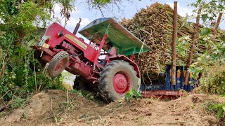 Mahindra Tractor 575 DI stuck with heavy sugarcane